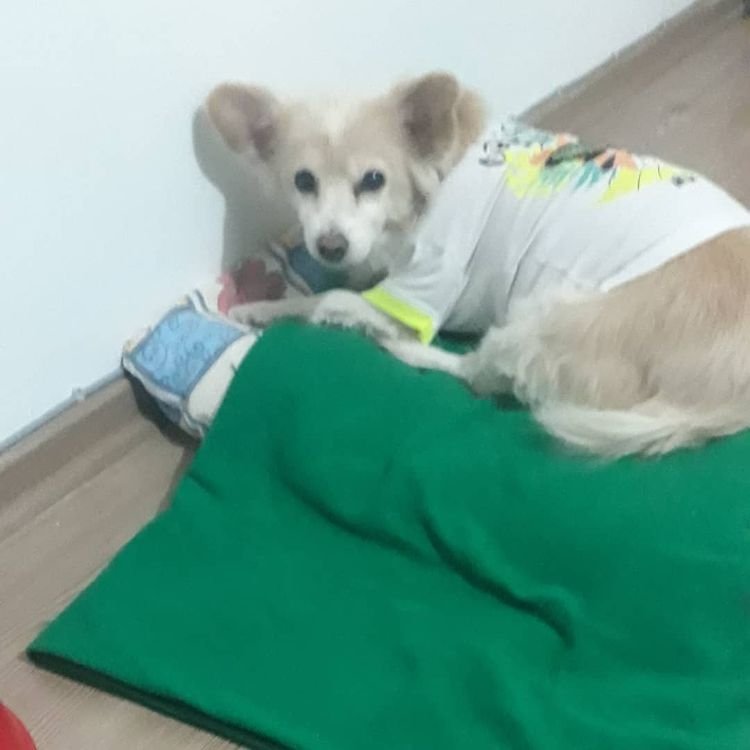 Mersin Pati Pansiyon 