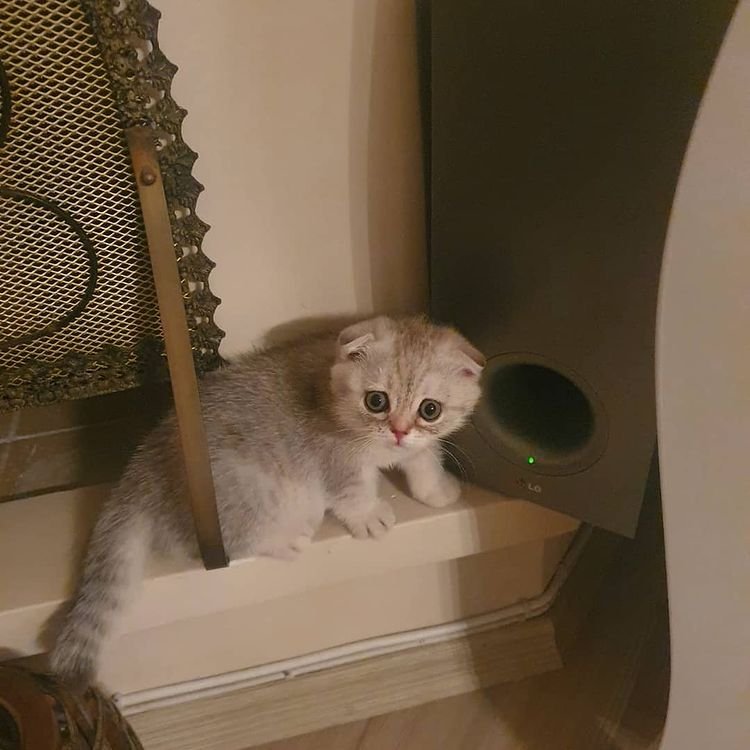 Mersin Pati Pansiyon 