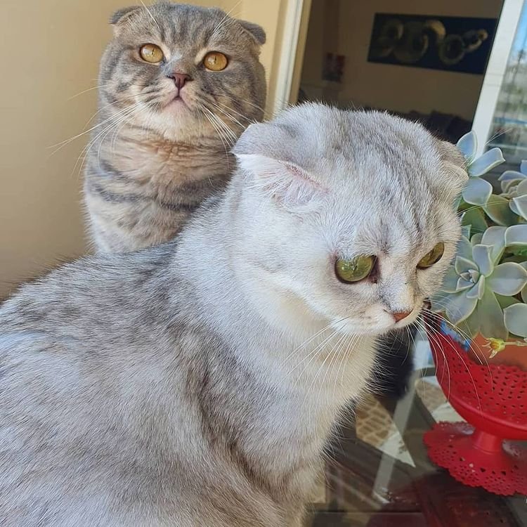 Mersin Pati Pansiyon 