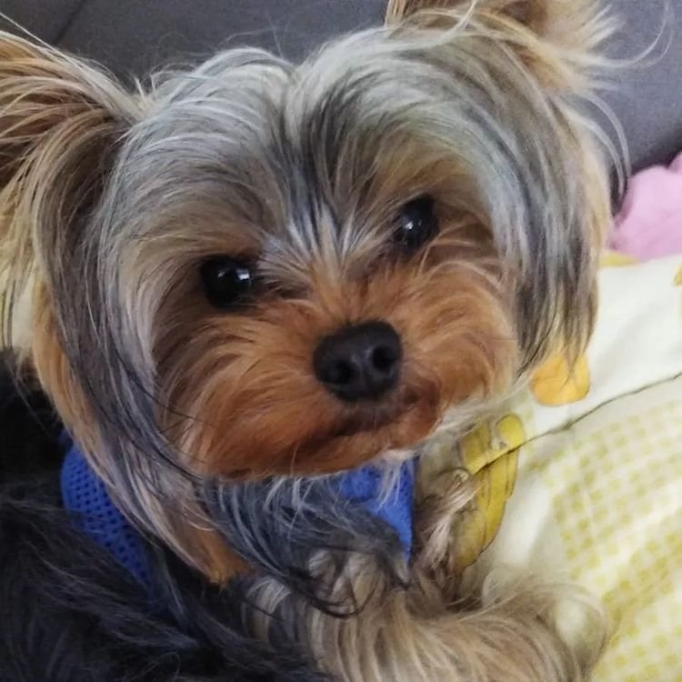 Mersin Pati Pansiyon 