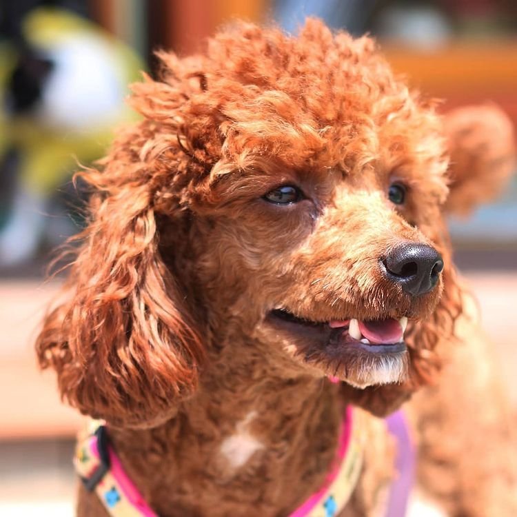 Mersin Pati Pansiyon 