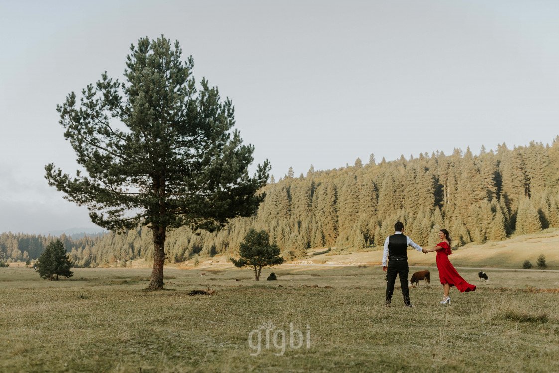 Mert Oktay  Photography