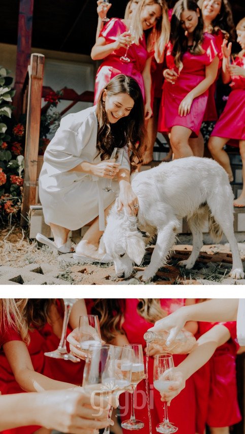 Mert Oktay  Photography