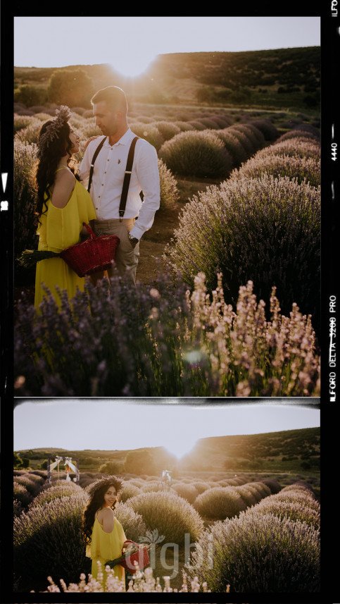 Mert Oktay  Photography