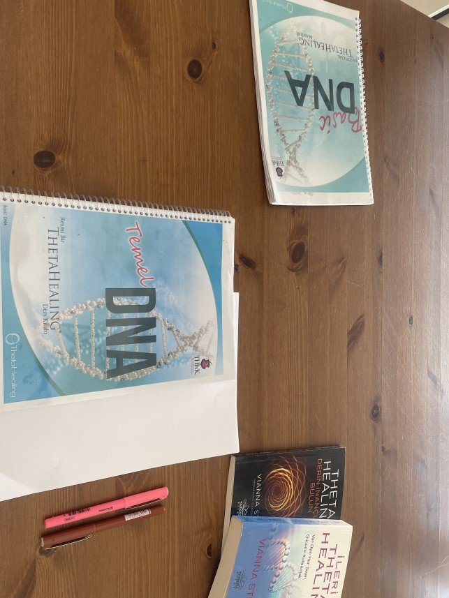 Merve Seyrek Karaçam