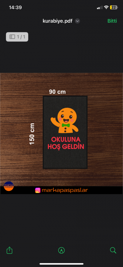 Merve Uludemir Coşkun