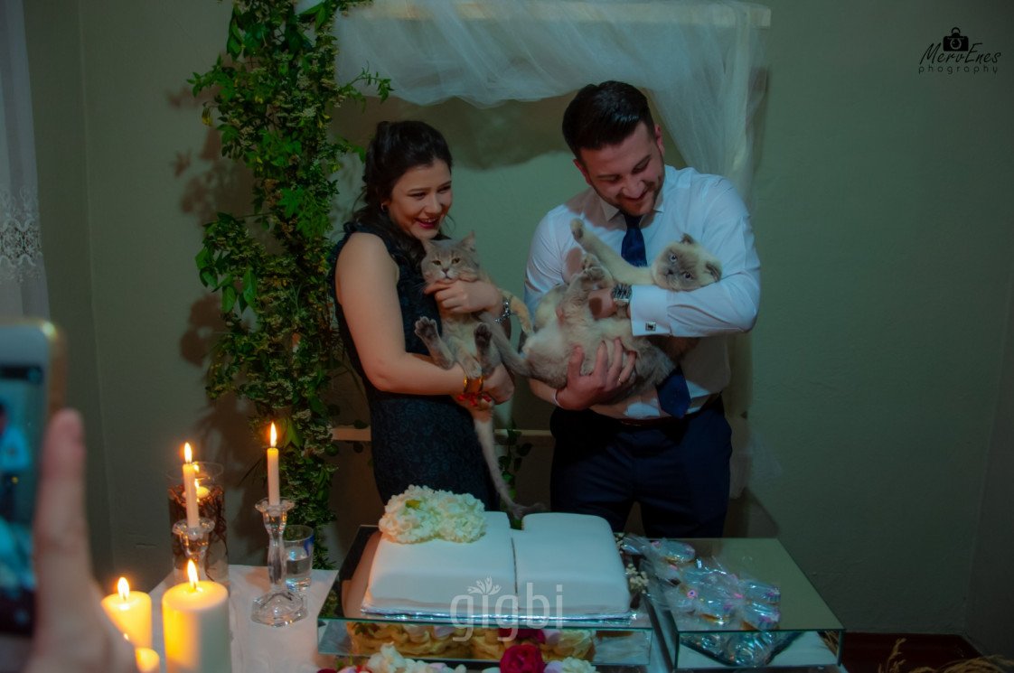 Mervenes Photography