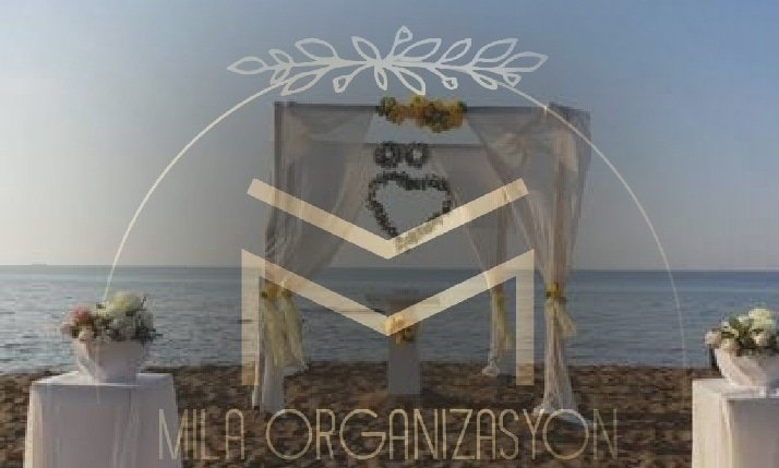 Mila Organizasyon