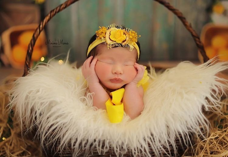 Minima Manus Photograph Art