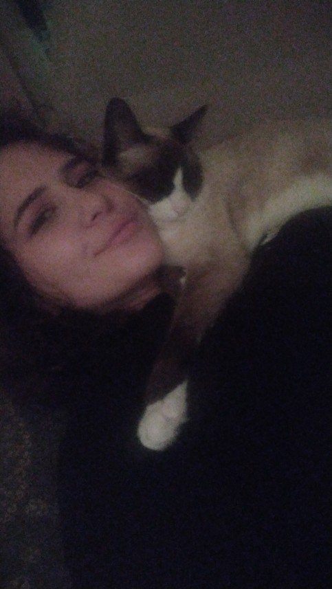 Patili Yuva Kedi Oteli