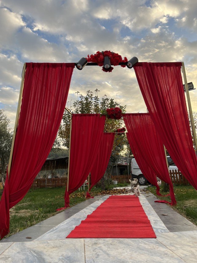 Misket  Organizasyon