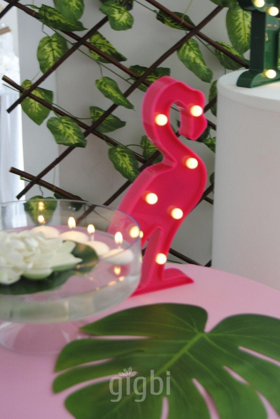 Miss Mira Organizasyon