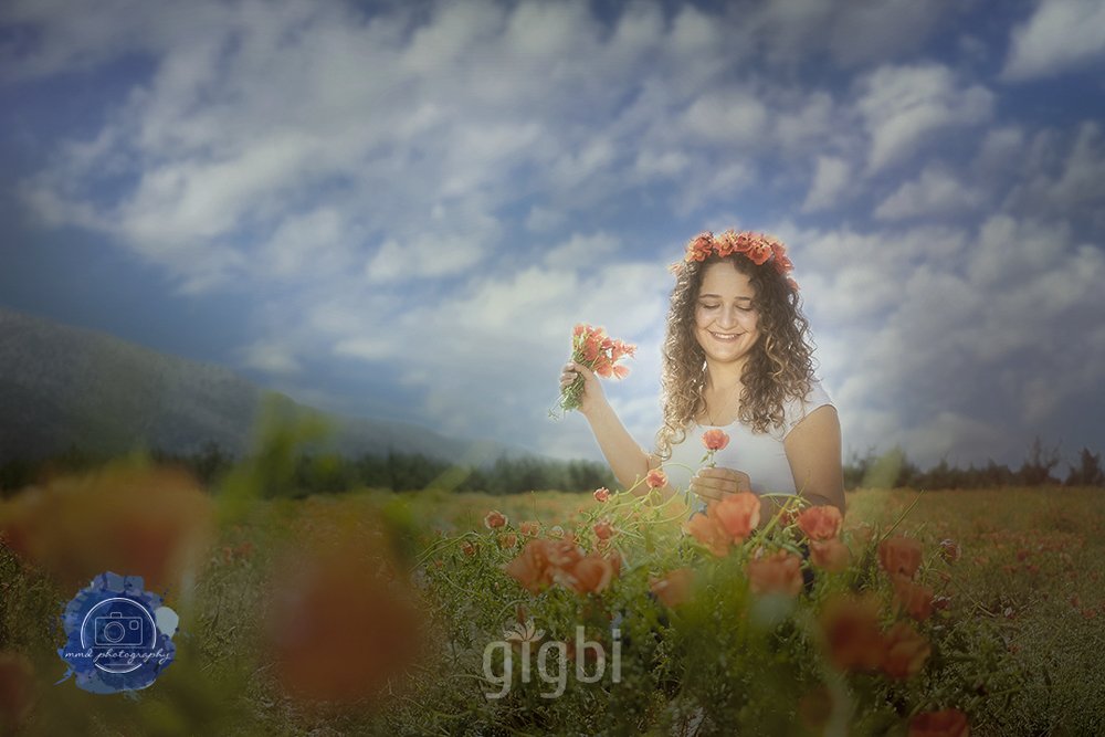 mmd video & photography