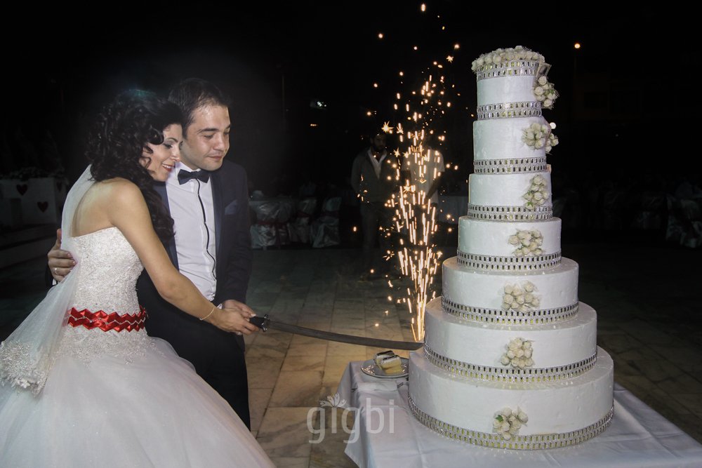 mmd video & photography