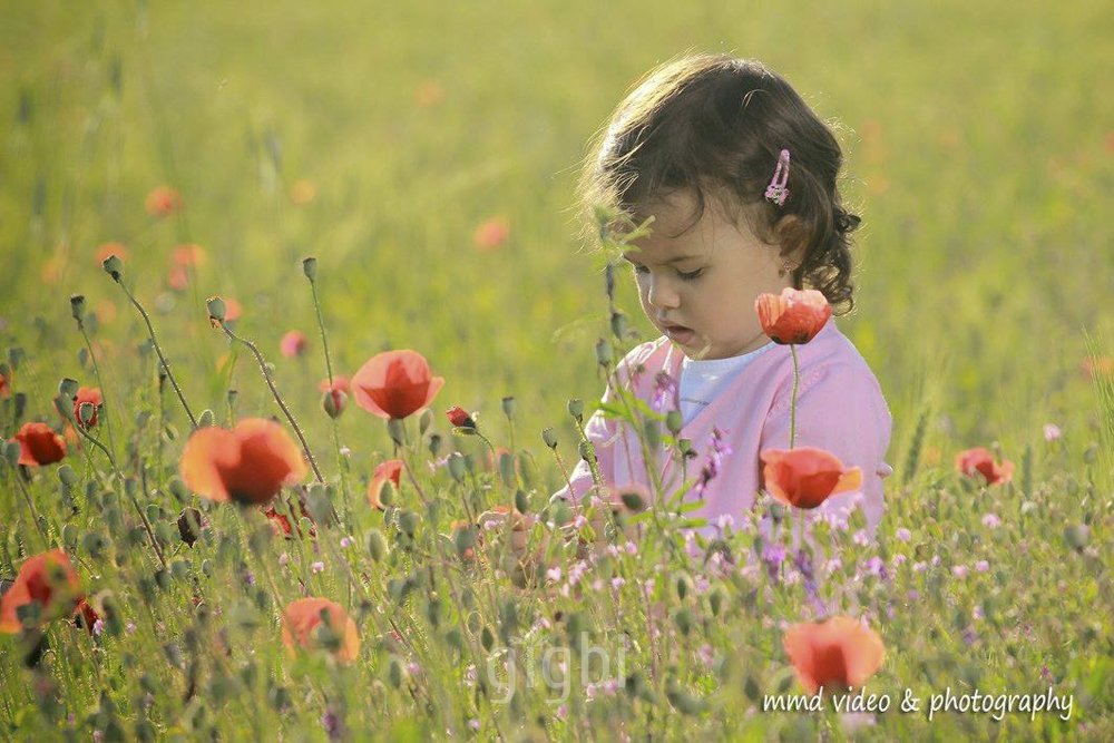 mmd video & photography