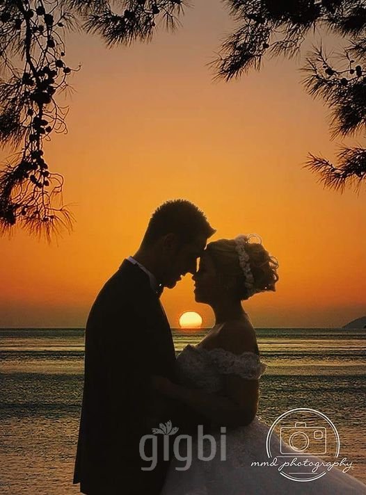 mmd video & photography