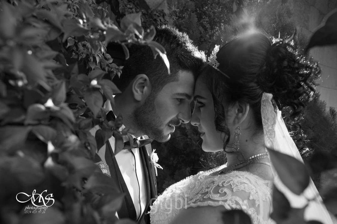 MS Fotoğrafçılık 