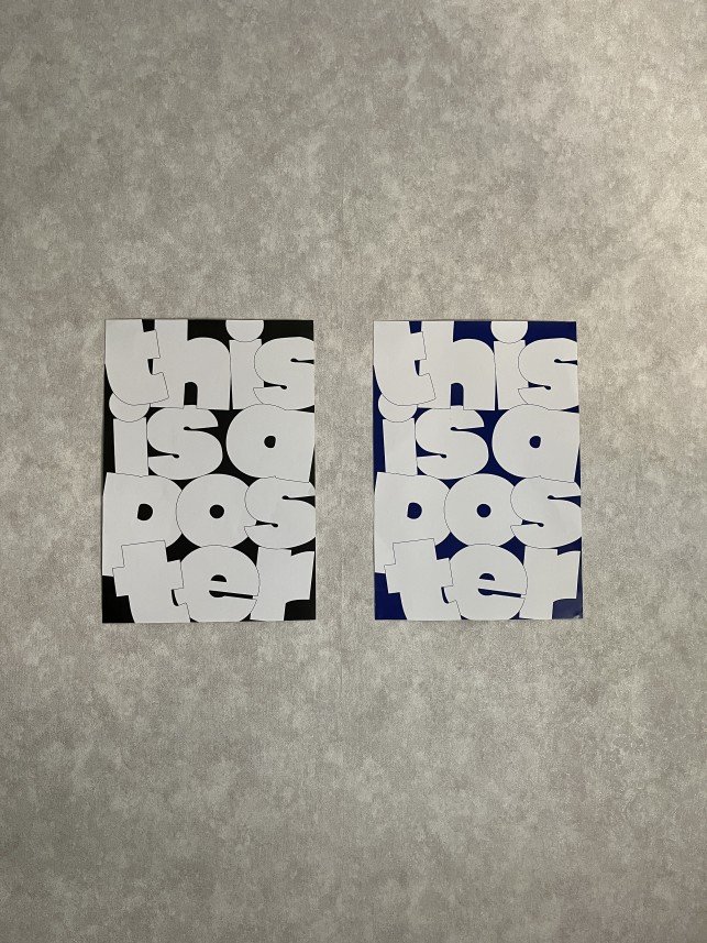 Mücella Beyza Işın