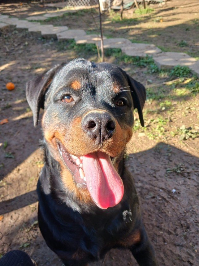 Muhammed Bartu Yenisoy