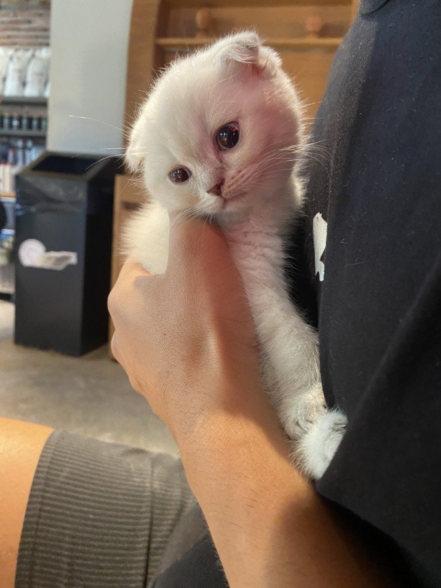 Muhammed Bartu Yenisoy