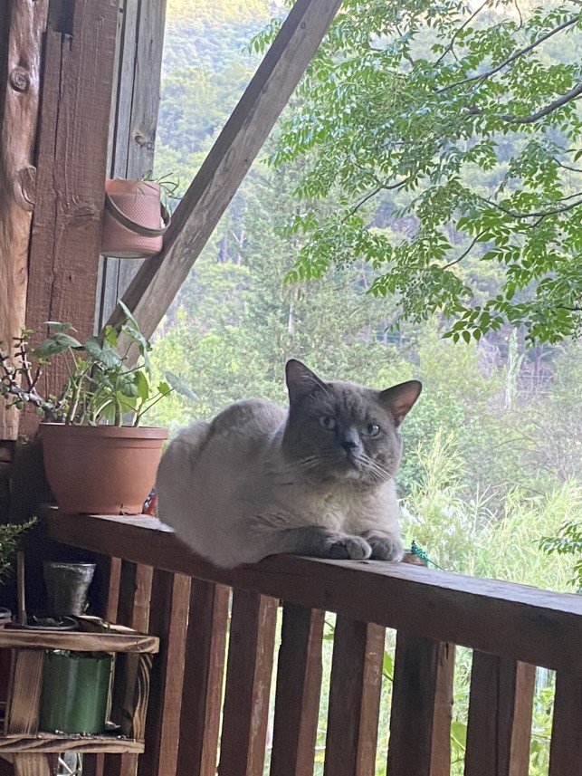 Muhammed Bartu Yenisoy