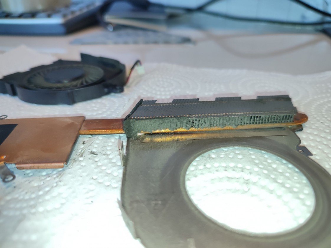 Muhammed Fatih Güler