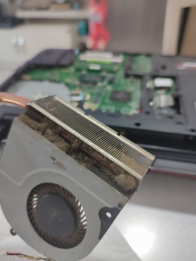 Muhammed Fatih Güler