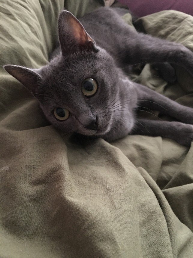 Muhammet Nur Bölükbaş