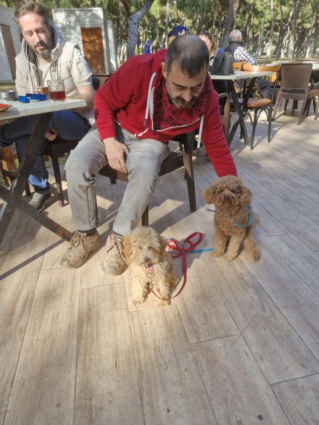 Murat Sönmez