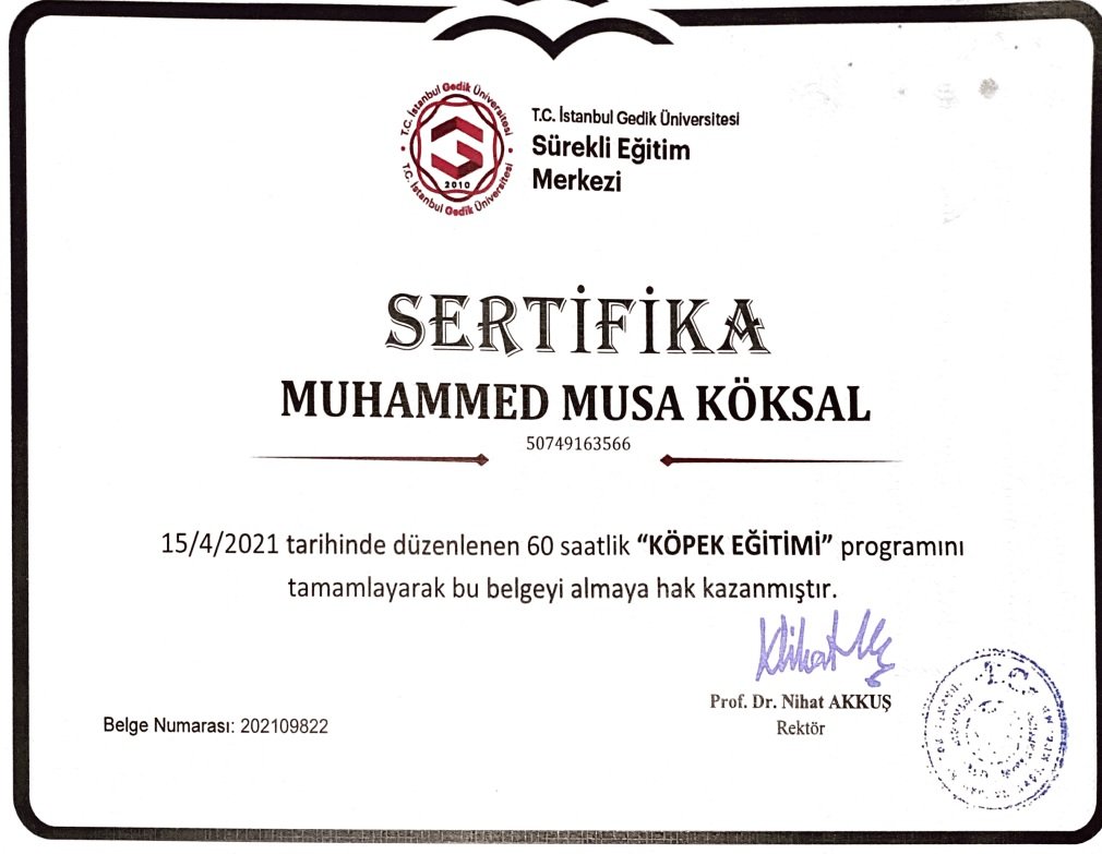 Köpek Eğitimi İzmir