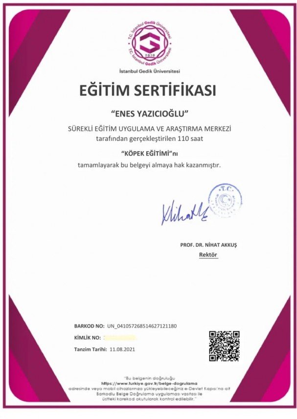 Köpek Eğitimi İzmir