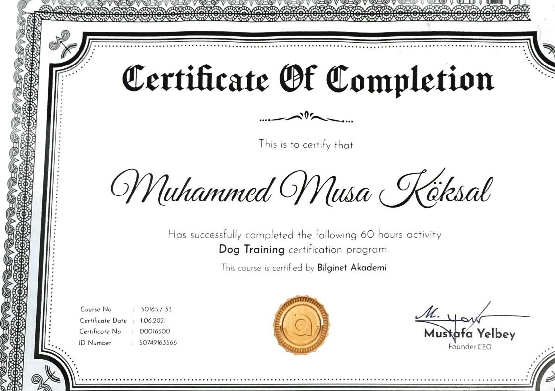 Köpek Eğitimi İzmir