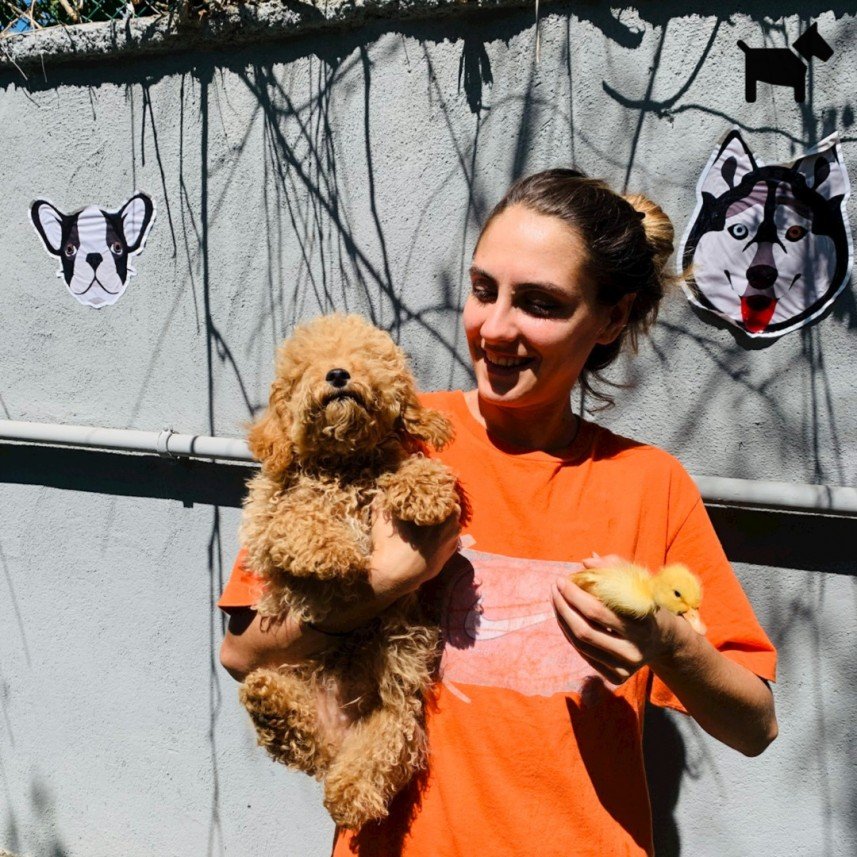 Köpek Eğitimi İzmir