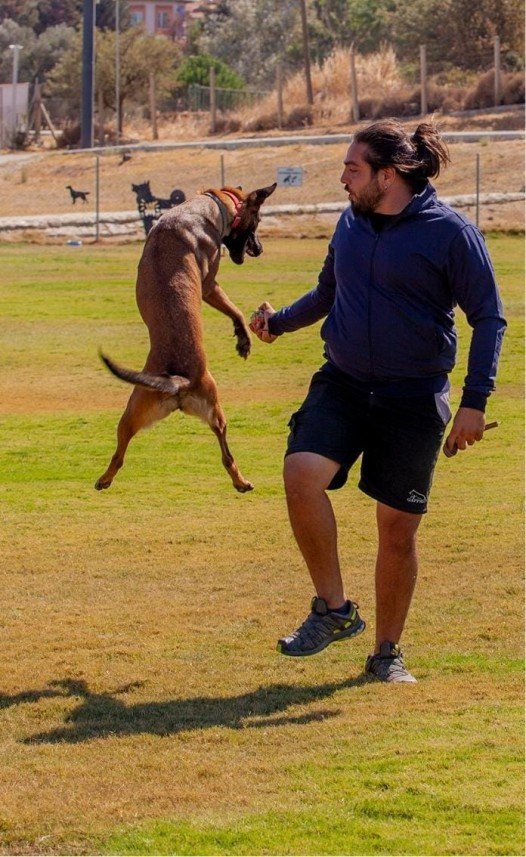 Köpek Eğitimi İzmir