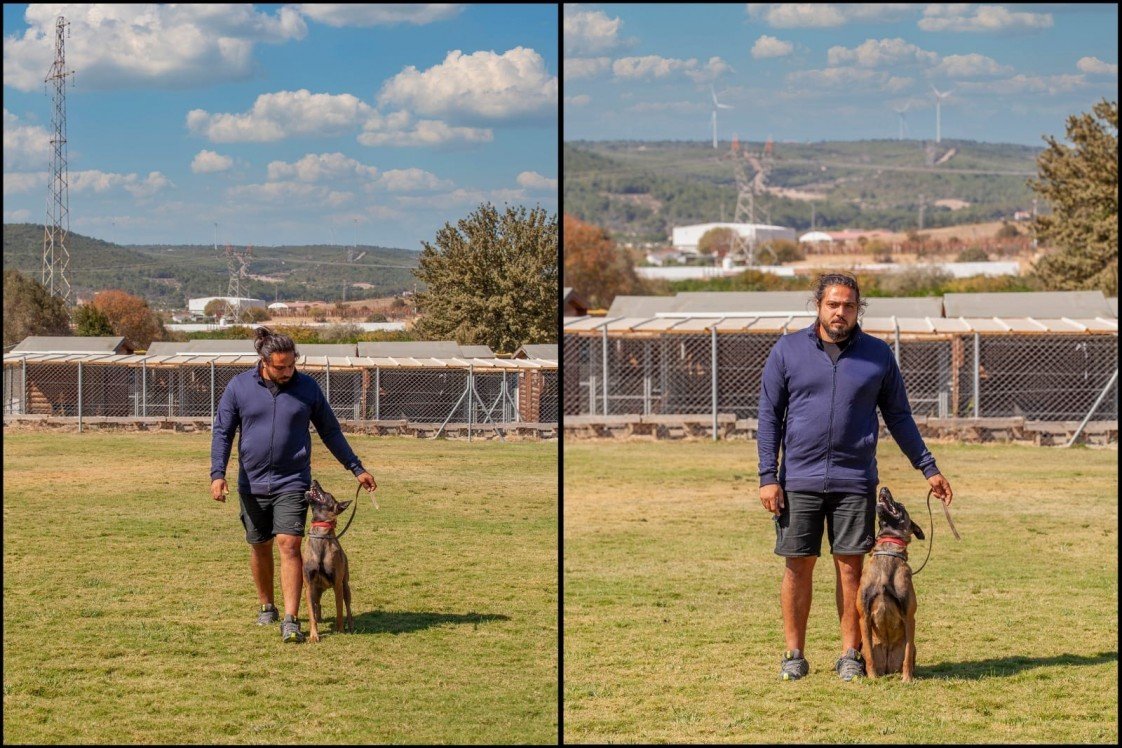 Köpek Eğitimi İzmir
