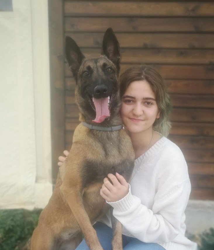 Köpek Eğitimi İzmir