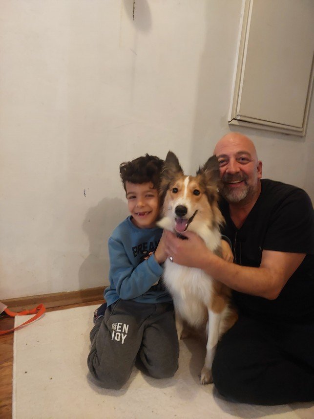 Murphy Köpek Eğitimi