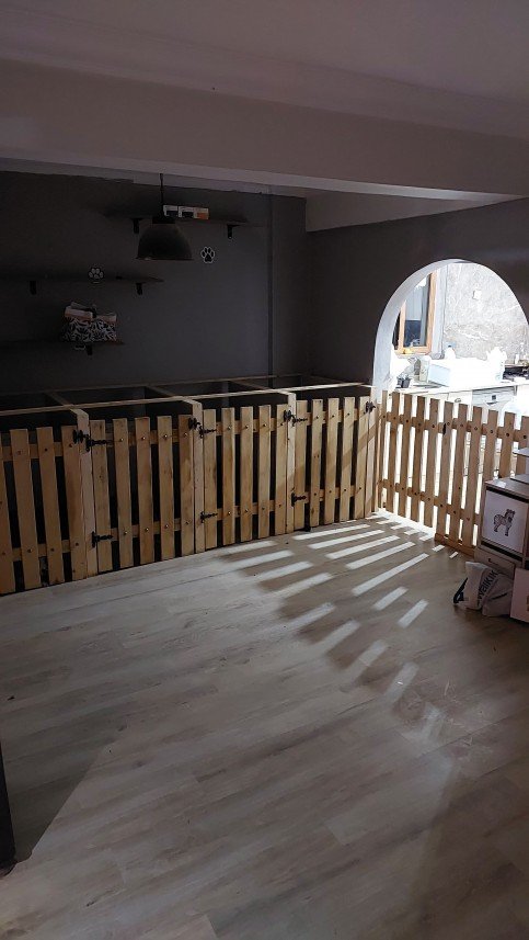 Murphy Köpek Eğitimi