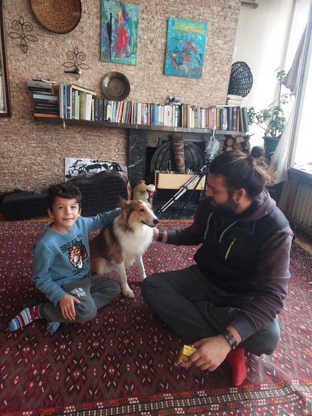 Murphy Köpek Eğitimi