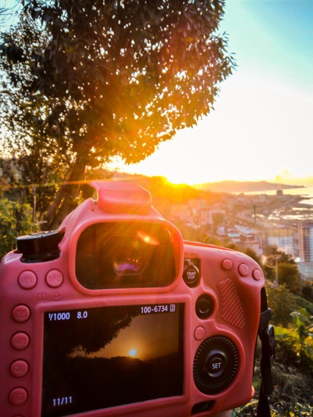 Mustafa Emre  Öksüz