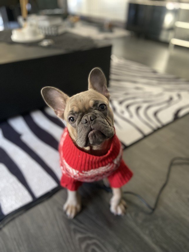 Nehir Naz Kirbikoğlu