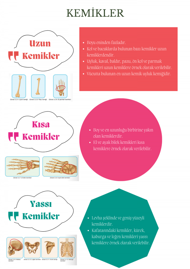 Neslihan Babayiğit Mazak