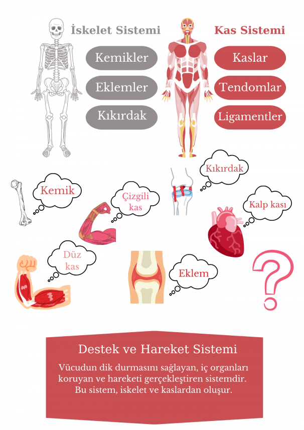 Neslihan Babayiğit Mazak