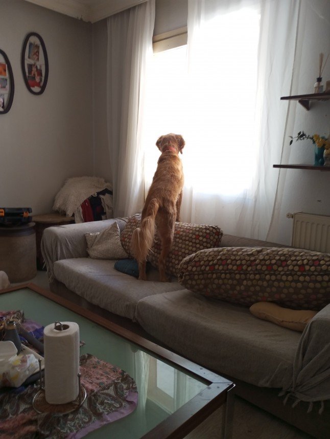 Nilay Erdel