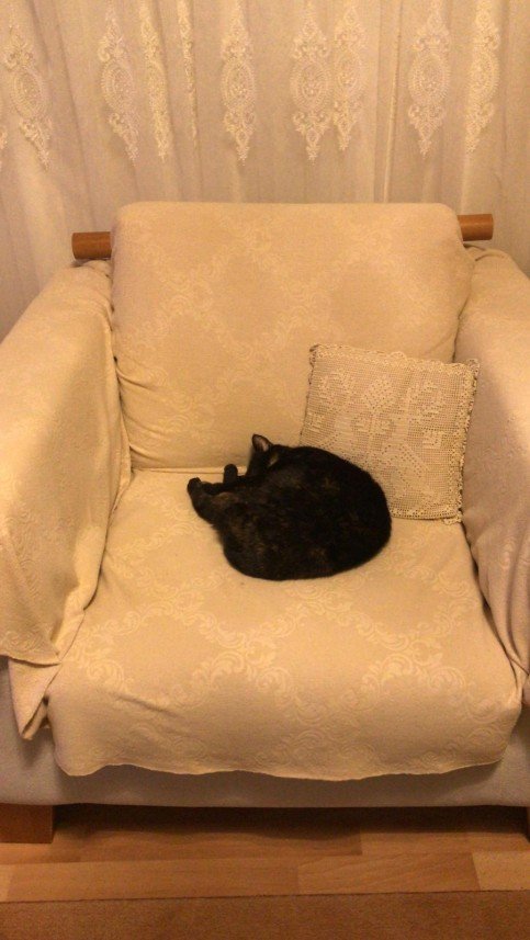 Nilsu Mine Yıldırım