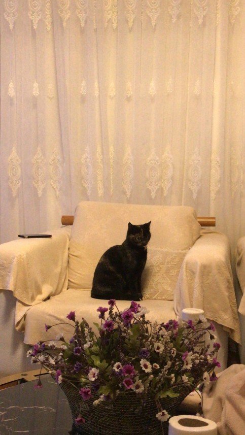 Nilsu Mine Yıldırım