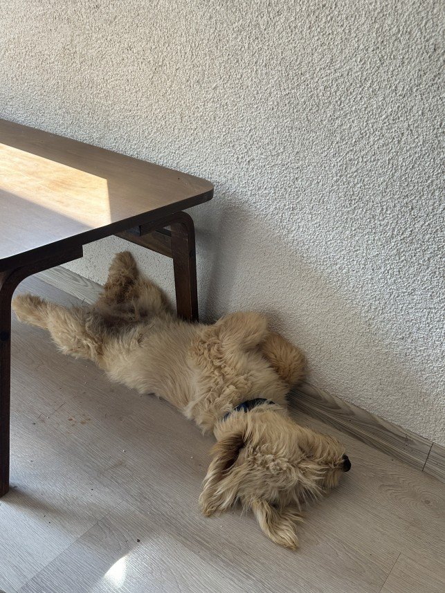 Nilsu Mine Yıldırım