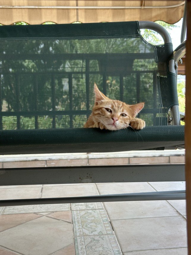 Nilsu Mine Yıldırım