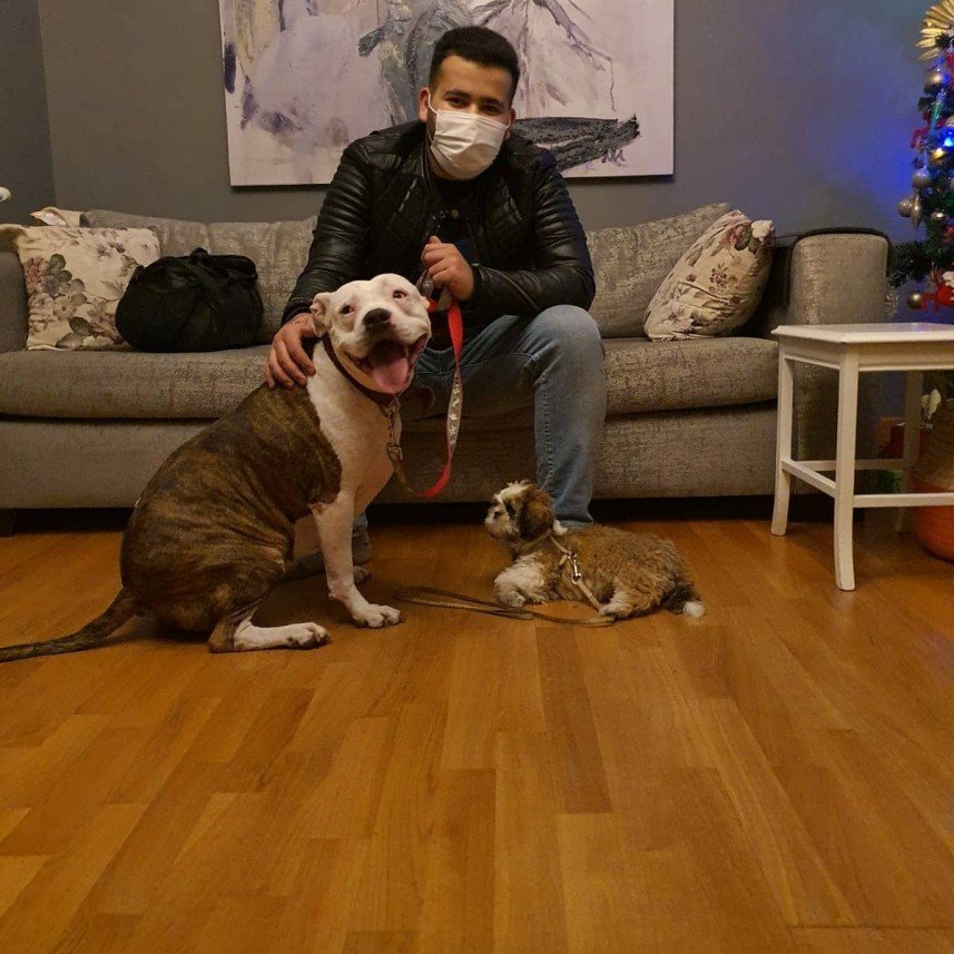 Köpek Eğitmeni Nuri