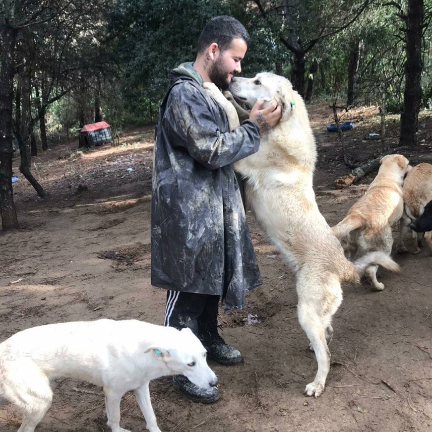 Köpek Eğitmeni Nuri